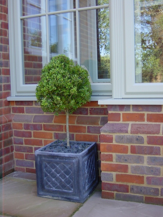 Elegant French Grey Conservatory